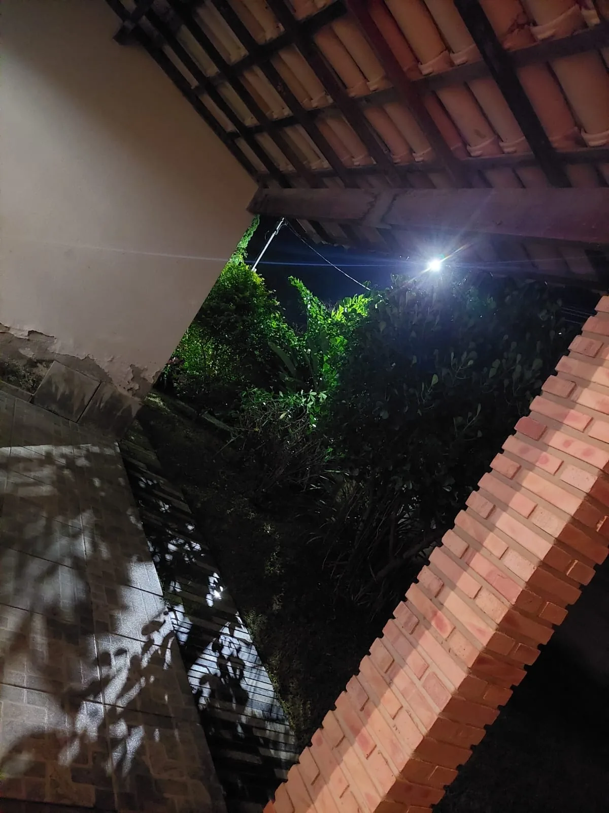 Ambiente do Sítio Rodrigues — foto 33