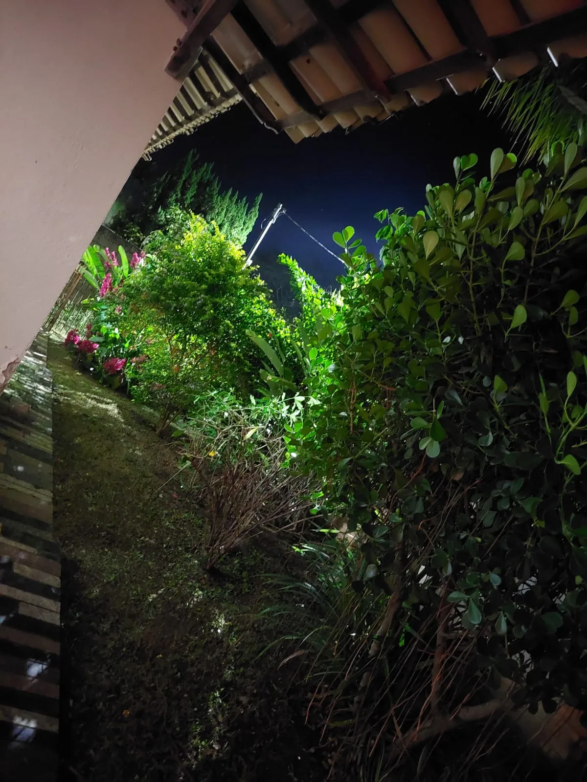 Ambiente do Sítio Rodrigues — foto 37