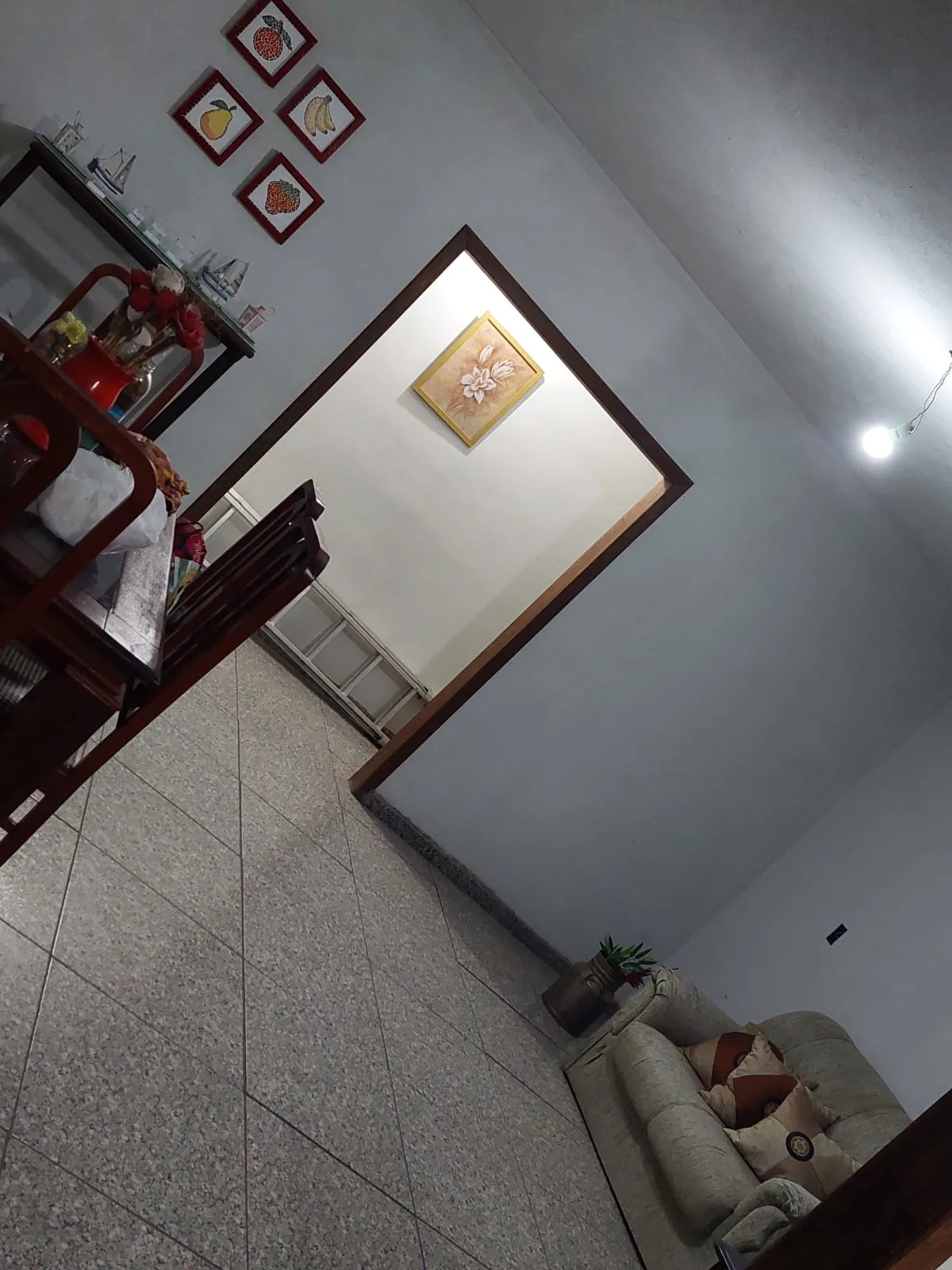 Ambiente do Sítio Rodrigues — foto 46