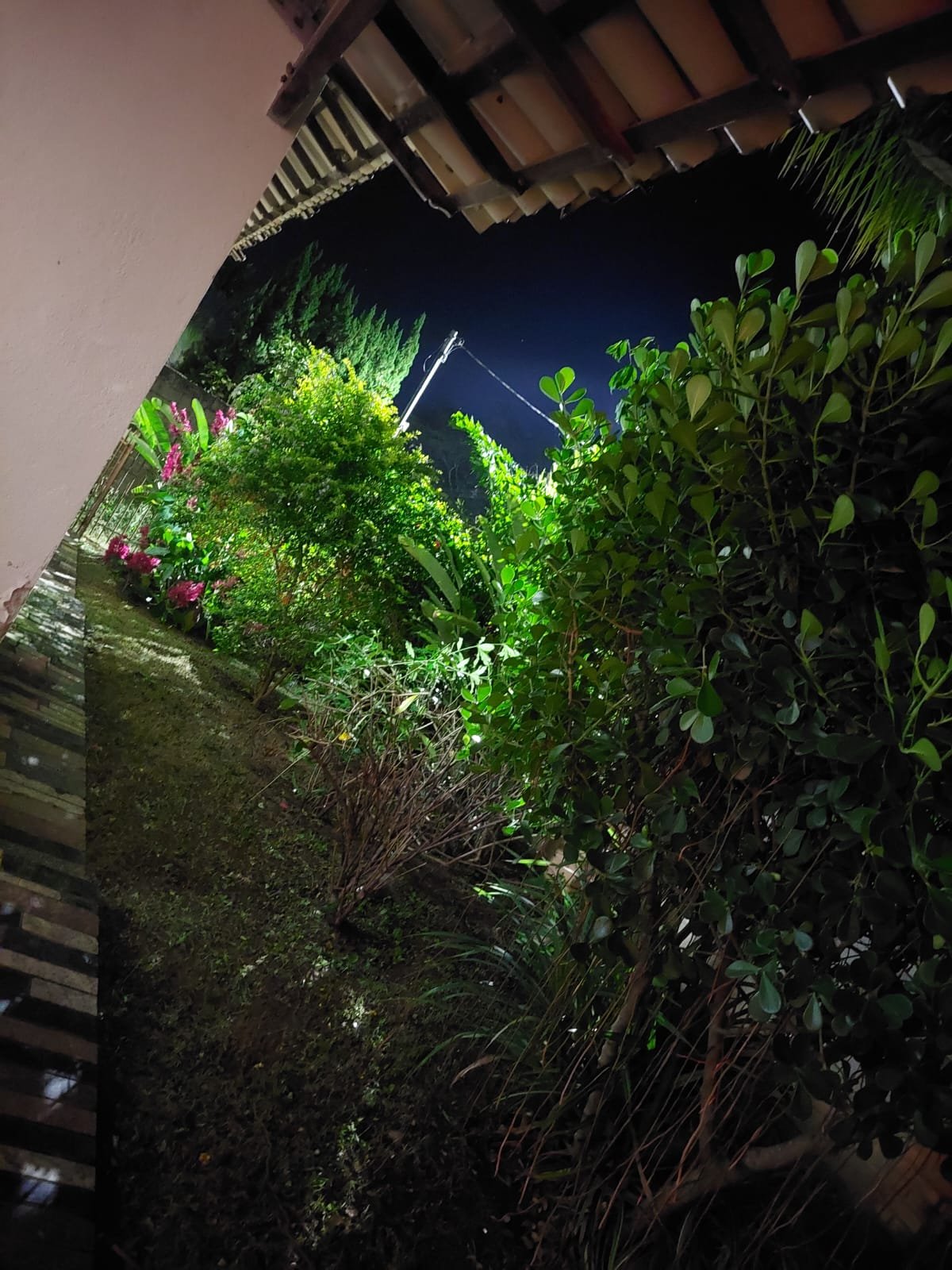 Jardim iluminado à noite